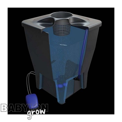 Nutripot Hydro system for crop production 5